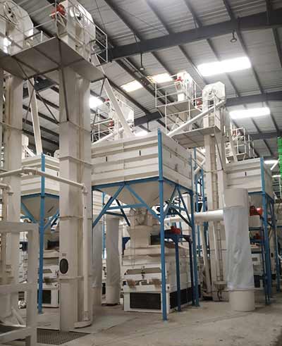 coffee-plant2 Nut Processing Plant