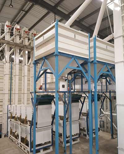 seedplant2 Nut Processing Plant